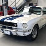 12dcc398 1389 4270 81ed 49ecb21370fb