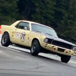 96fe8776 35ed 4969 892a 5c8372b0d640