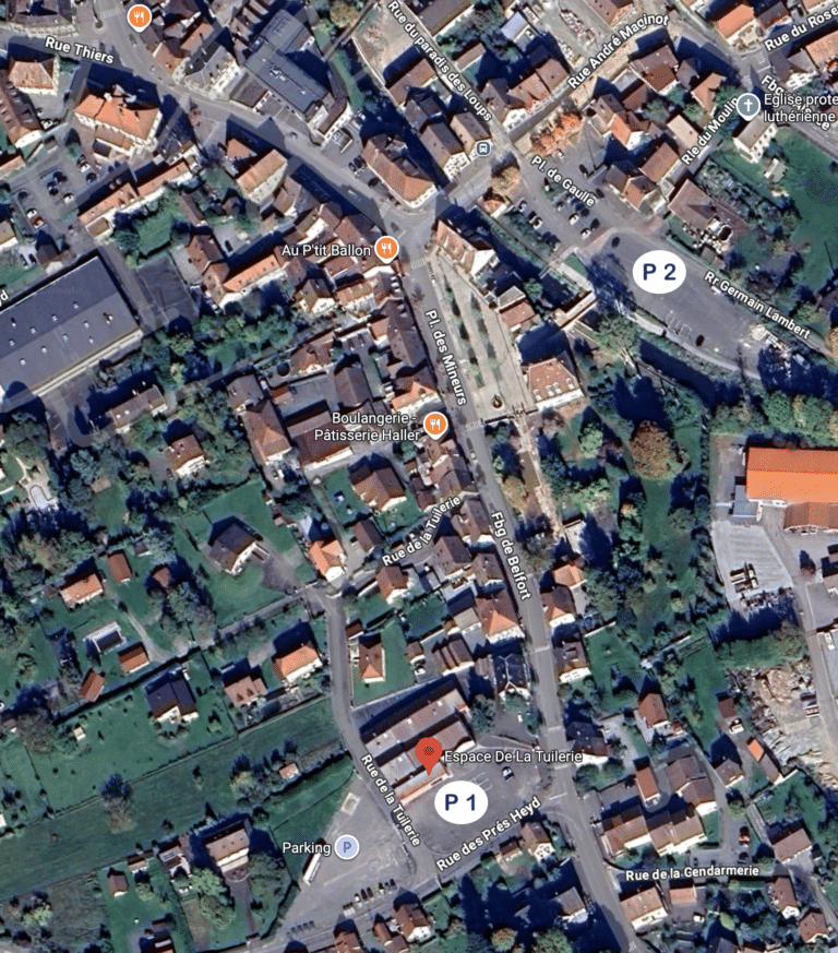 Viree des Ballons expo autos